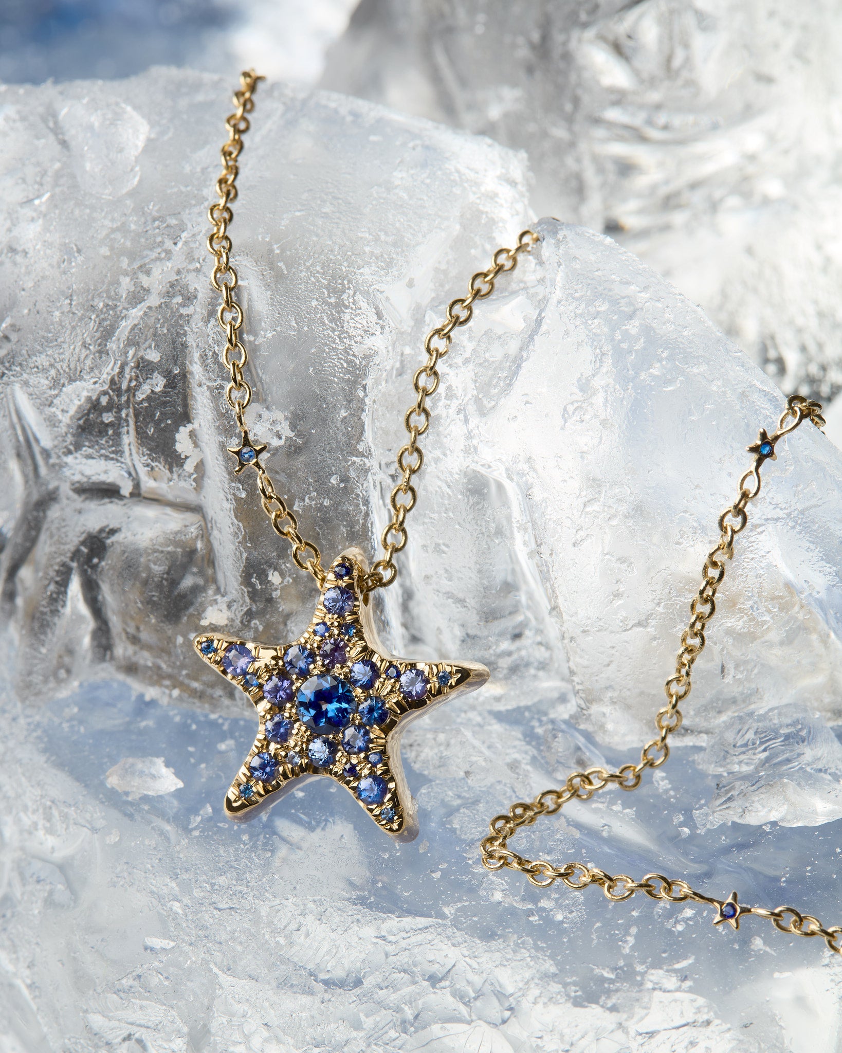 Winter Star Necklace – Meluzza